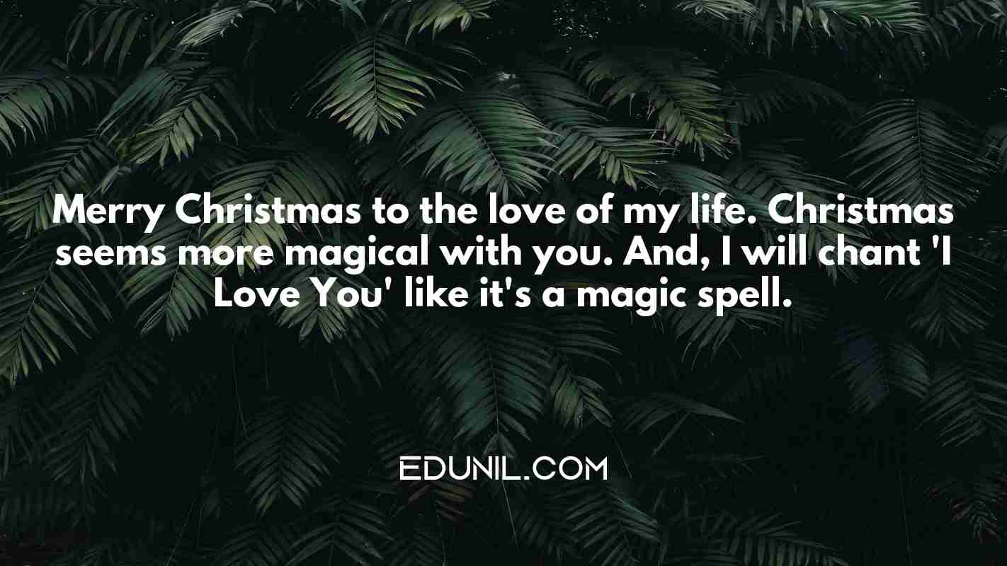 Merry Christmas to the love of my life. Christmas seems more magical with you. And, I will chant 'I Love You' like it's a magic spell. - 
