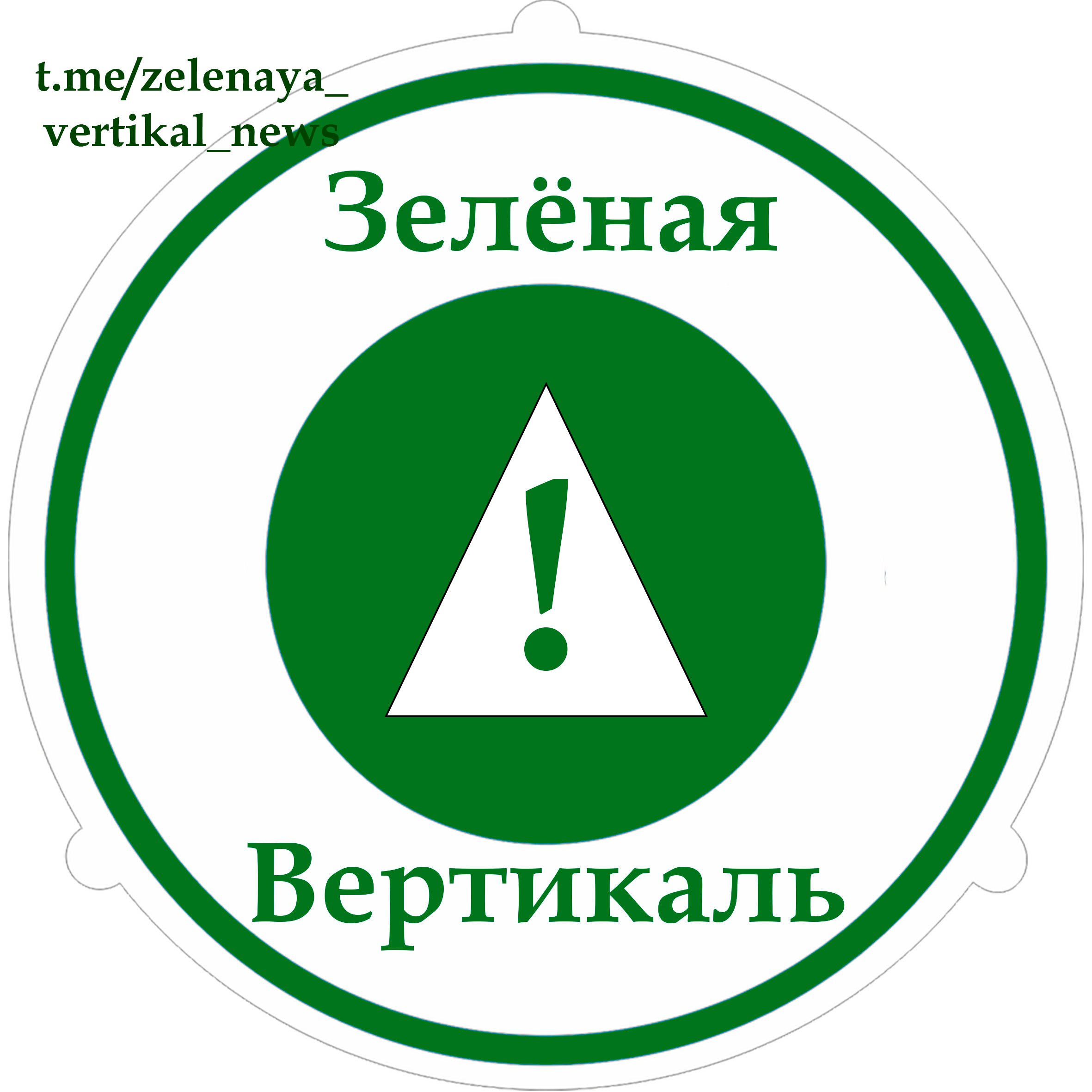 Зеленая вертикаль