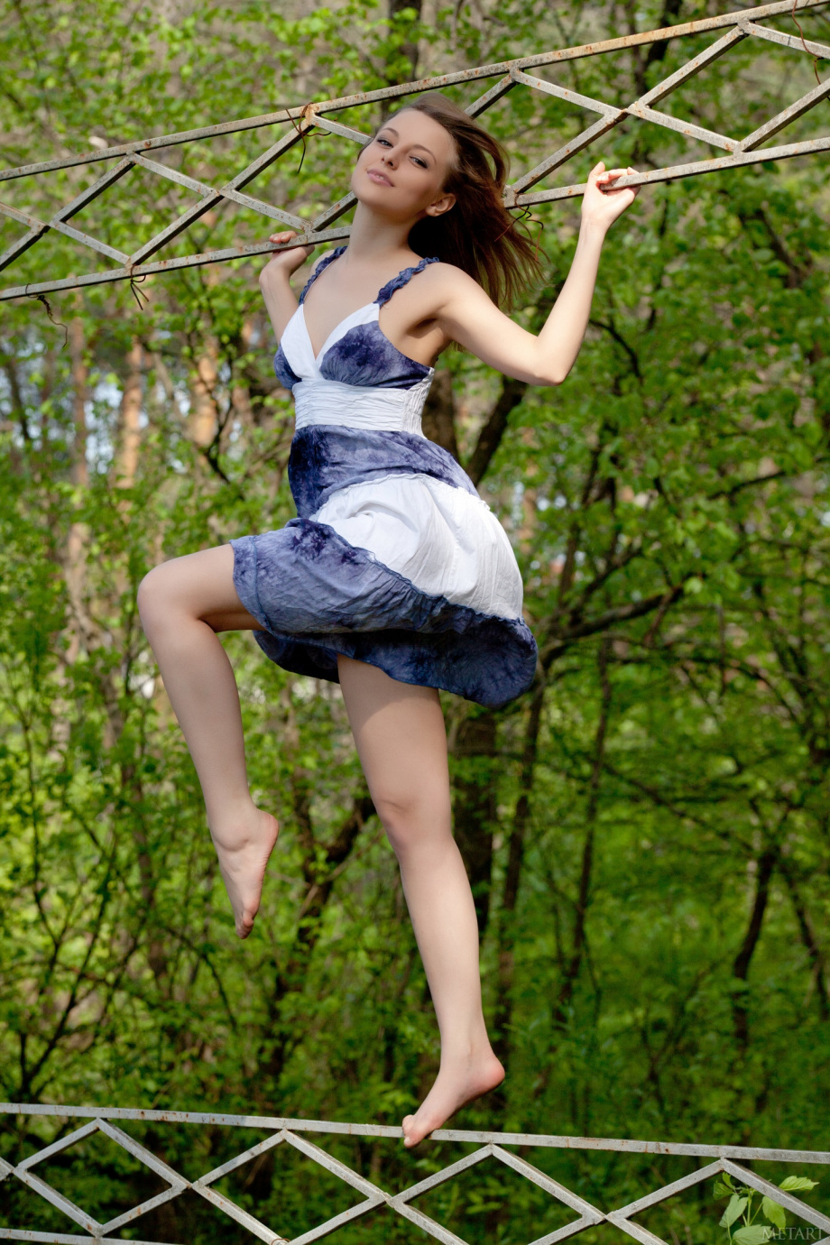 [Image: ebdee1a6bd6d4e8be7a20.jpg]