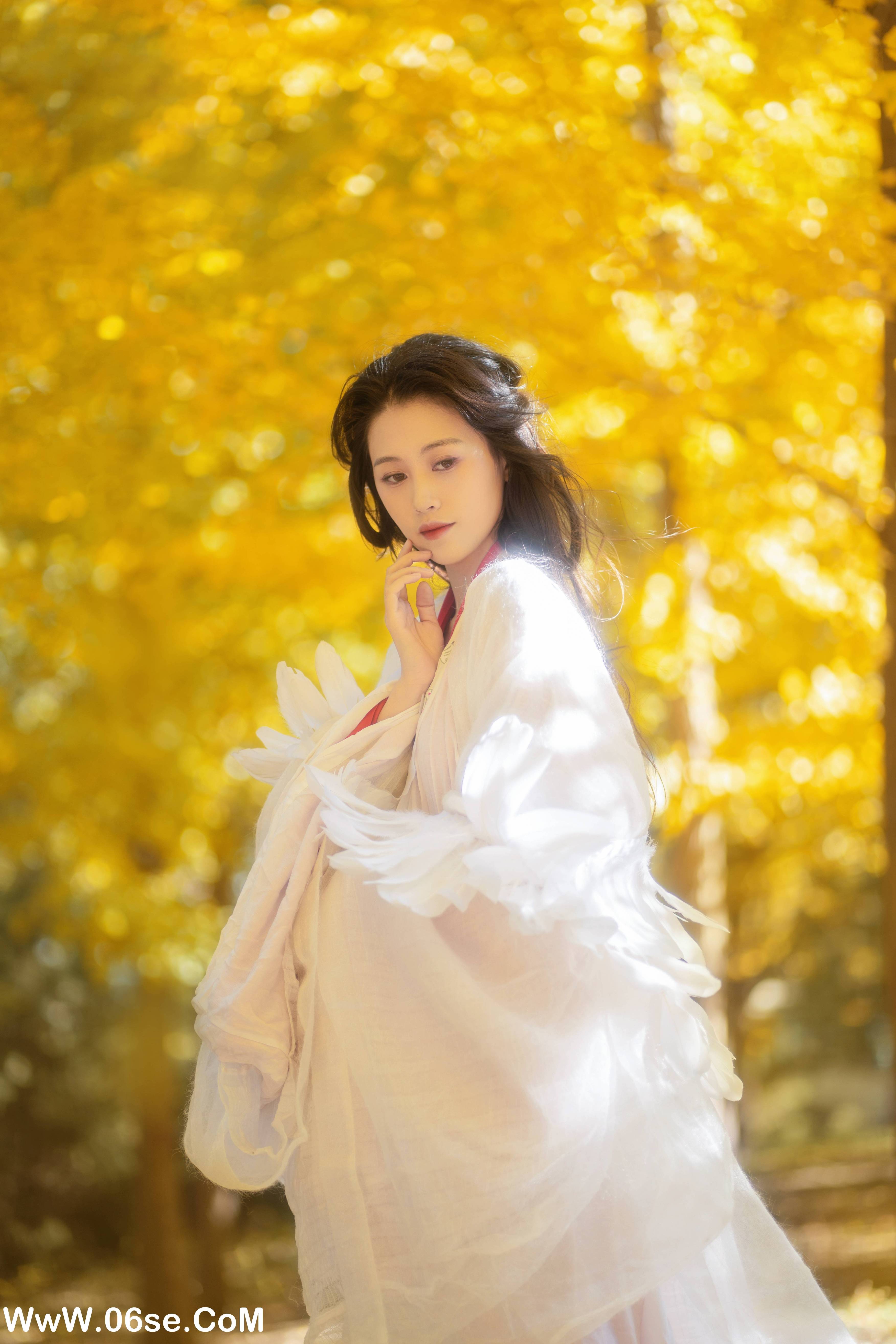 图片[7]-[YITUYU艺图语]2022.11.30 银杏 青霜鹅[25+1P／393MB]-六色网