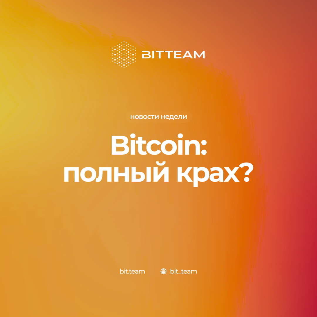 Тим бит