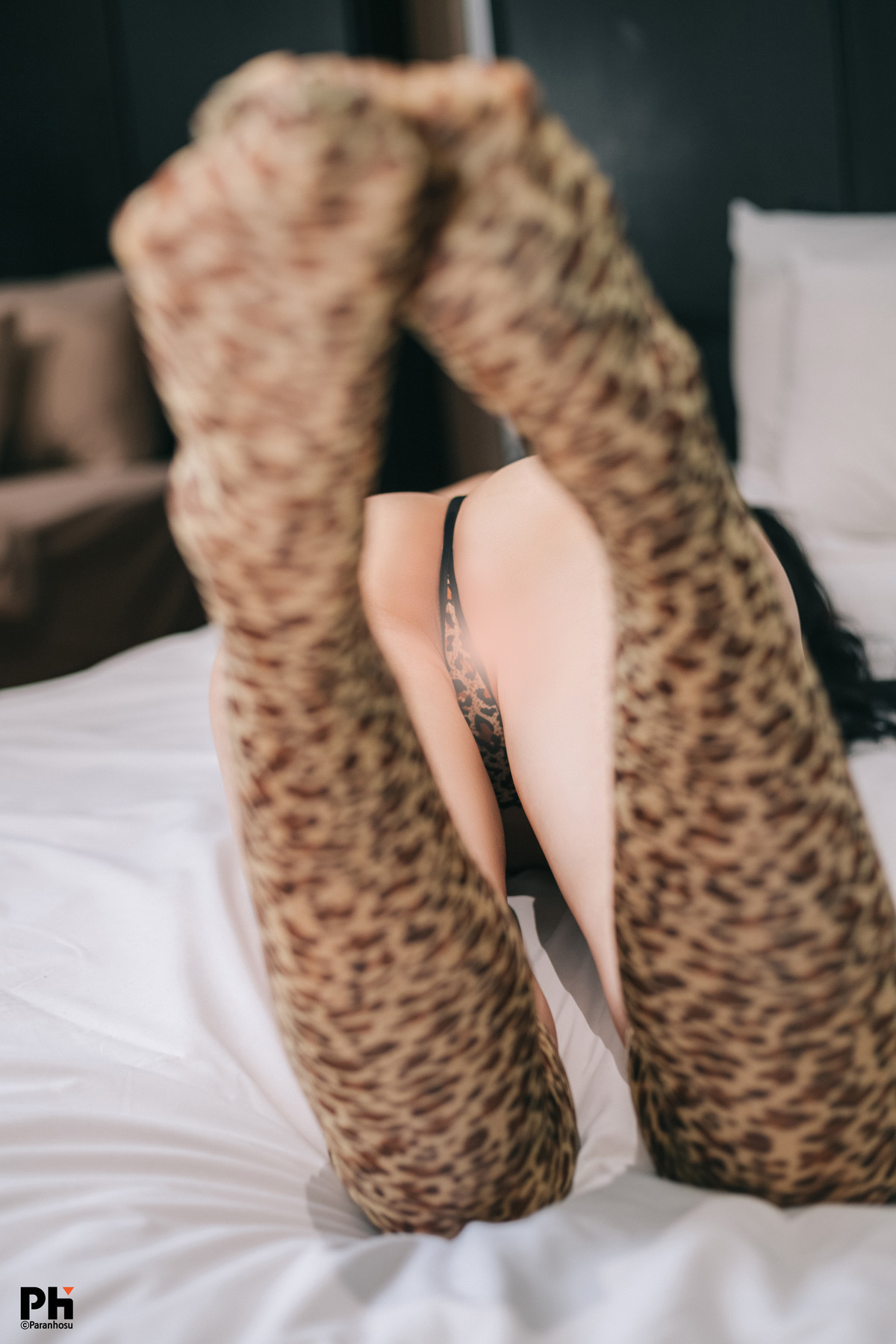 Sia_S22, [Paranhosu] Photo Book Leopard 22
