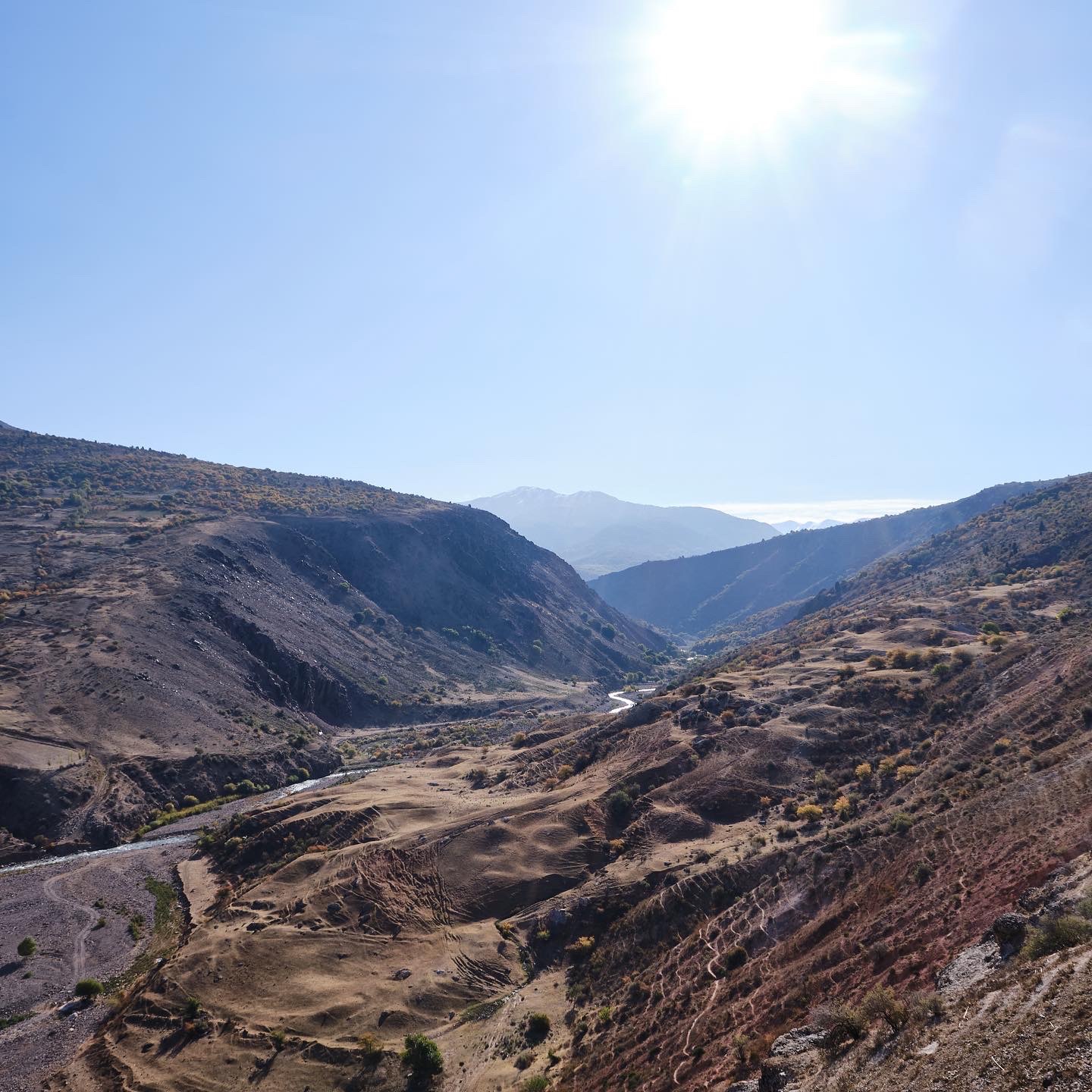 Аксагата 12 ноября – Telegraph