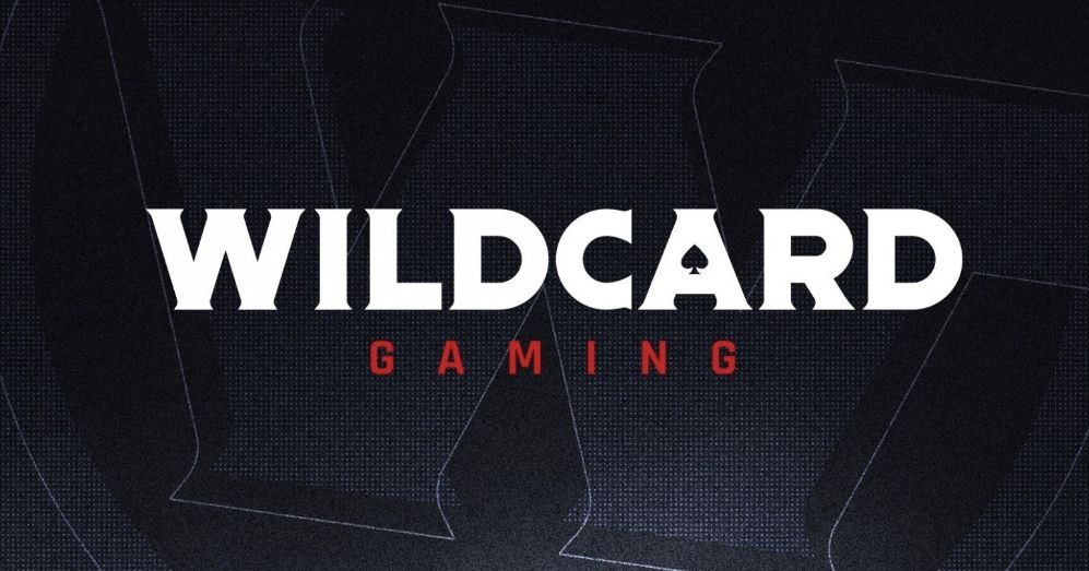 Wildcard. Wildcard Gaming. Wildcard перевод. Wildcard разработчики. Wildcard Gaming сайт команды.