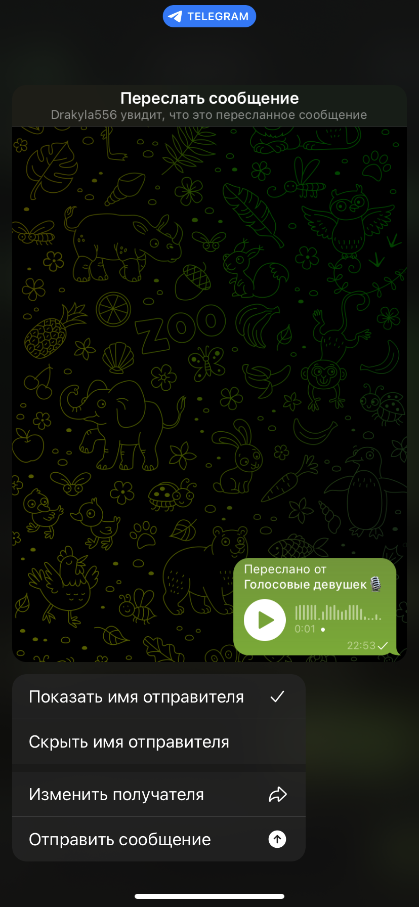 Гайд для чайников как отправлять голосовые и куржки девушек – Telegraph