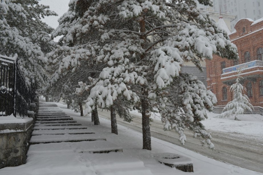Крещенские морозы придут в Хабаровский край с 14 января