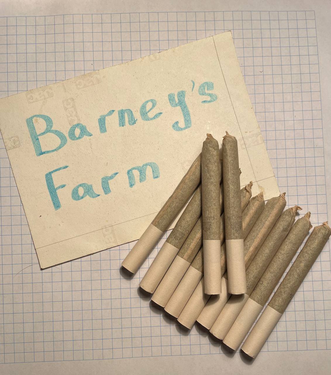 🎄 BARNEYS FARM 🇺🇦 Telegraph