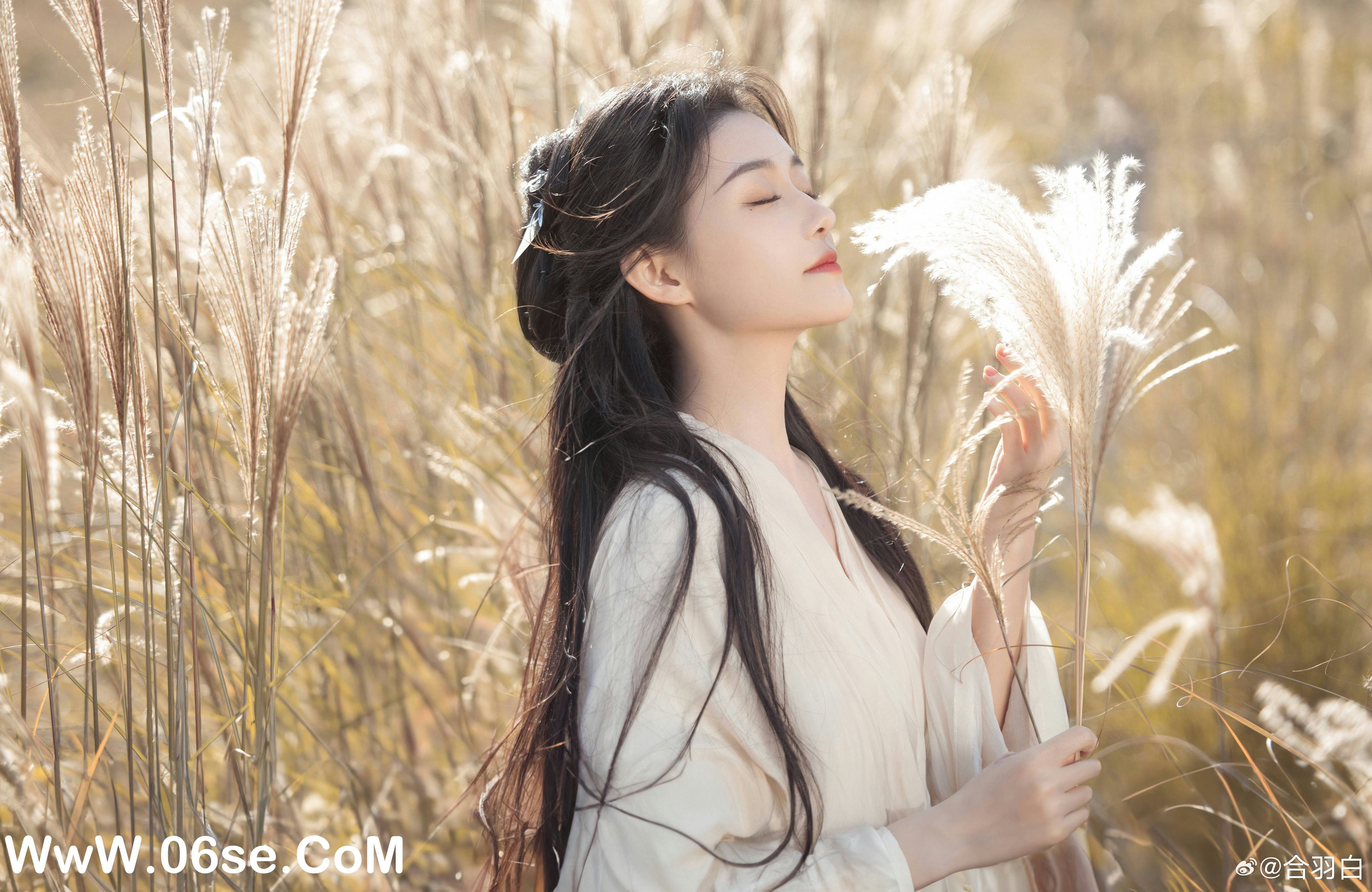 图片[31]-102 迷失幻境系列 – 第102期（惊鸿醉） [48P-394.50 MB]-六色网