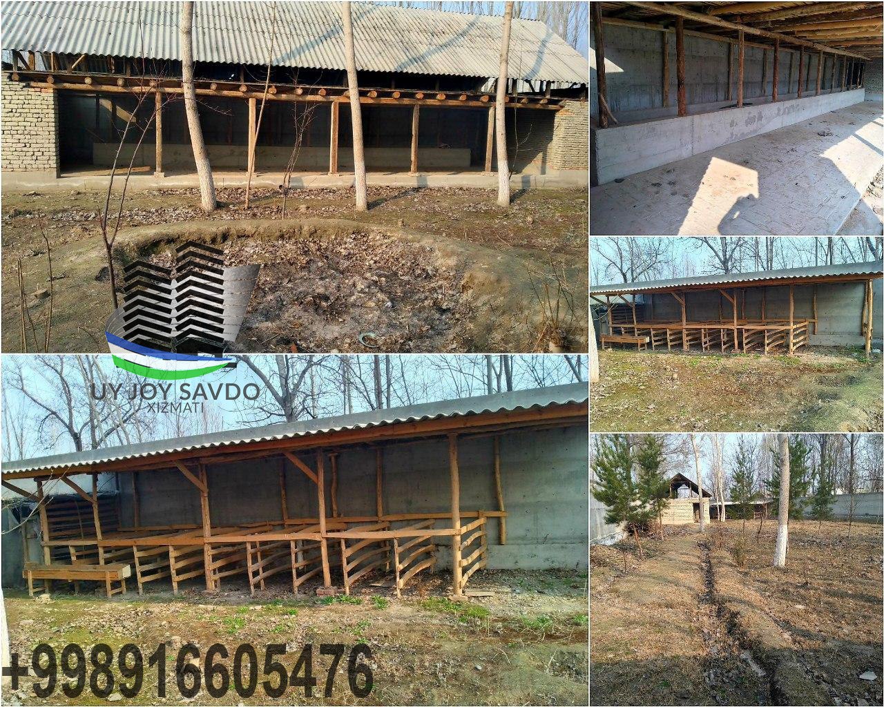 Молхона куриш проекты