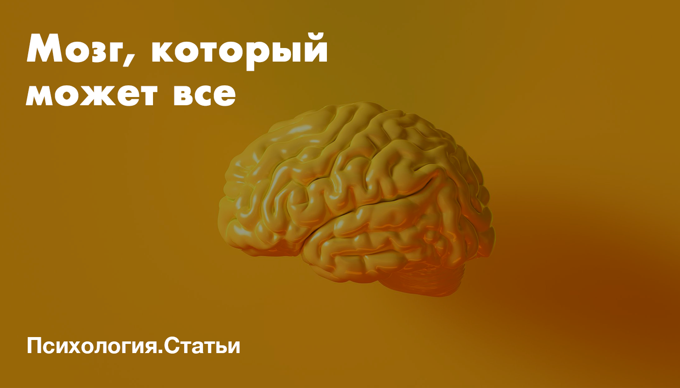 Мозги определение. Нейропластичность мозга. Упражнения для нейропластичности мозга. Мозг который нужен всем. Нейропластичность головного мозга книга.