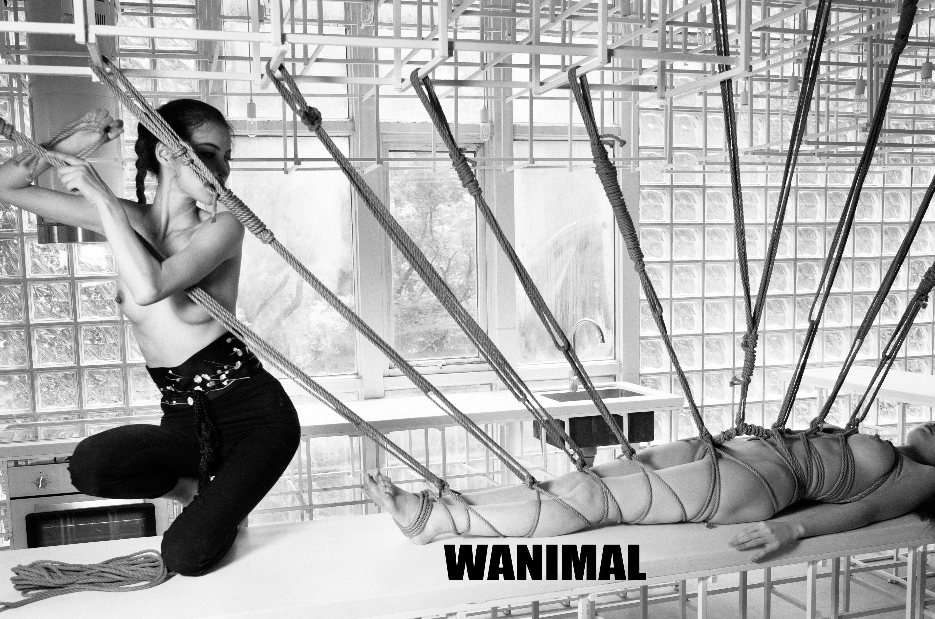 WANIMAL王动作品 154P 127
