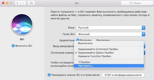 Голос сири. Настройки на мас. Как вызвать сири. Как настроить кнопку вызова сири на Мак. Очистить сири на макбуке.