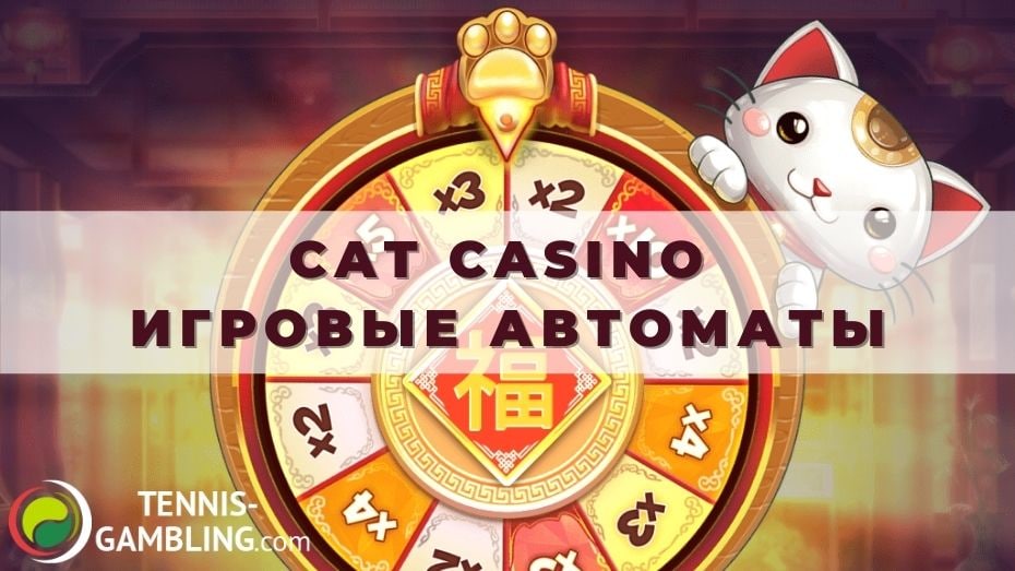 Cat Casino | VK