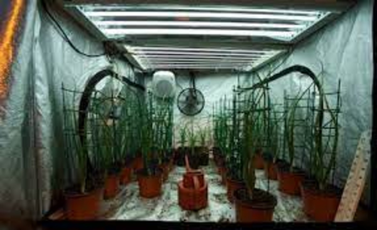 What are the Benefits of Grow tents for Indoor Garden? Telegraph