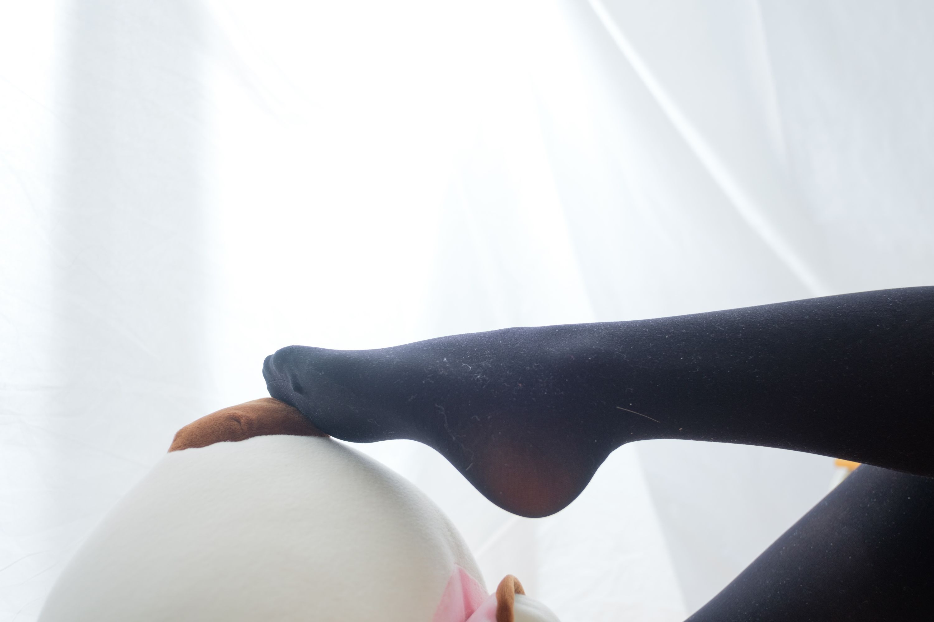 喵写真-[PR15-002] 在大熊身上的黑丝少女[90P1V] 26