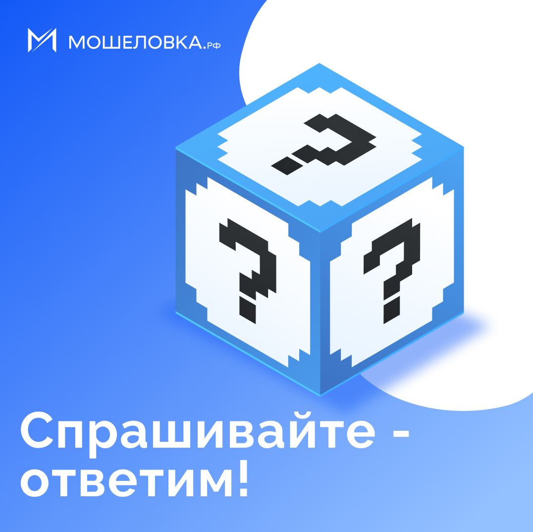 За что отвечает куратор проекта