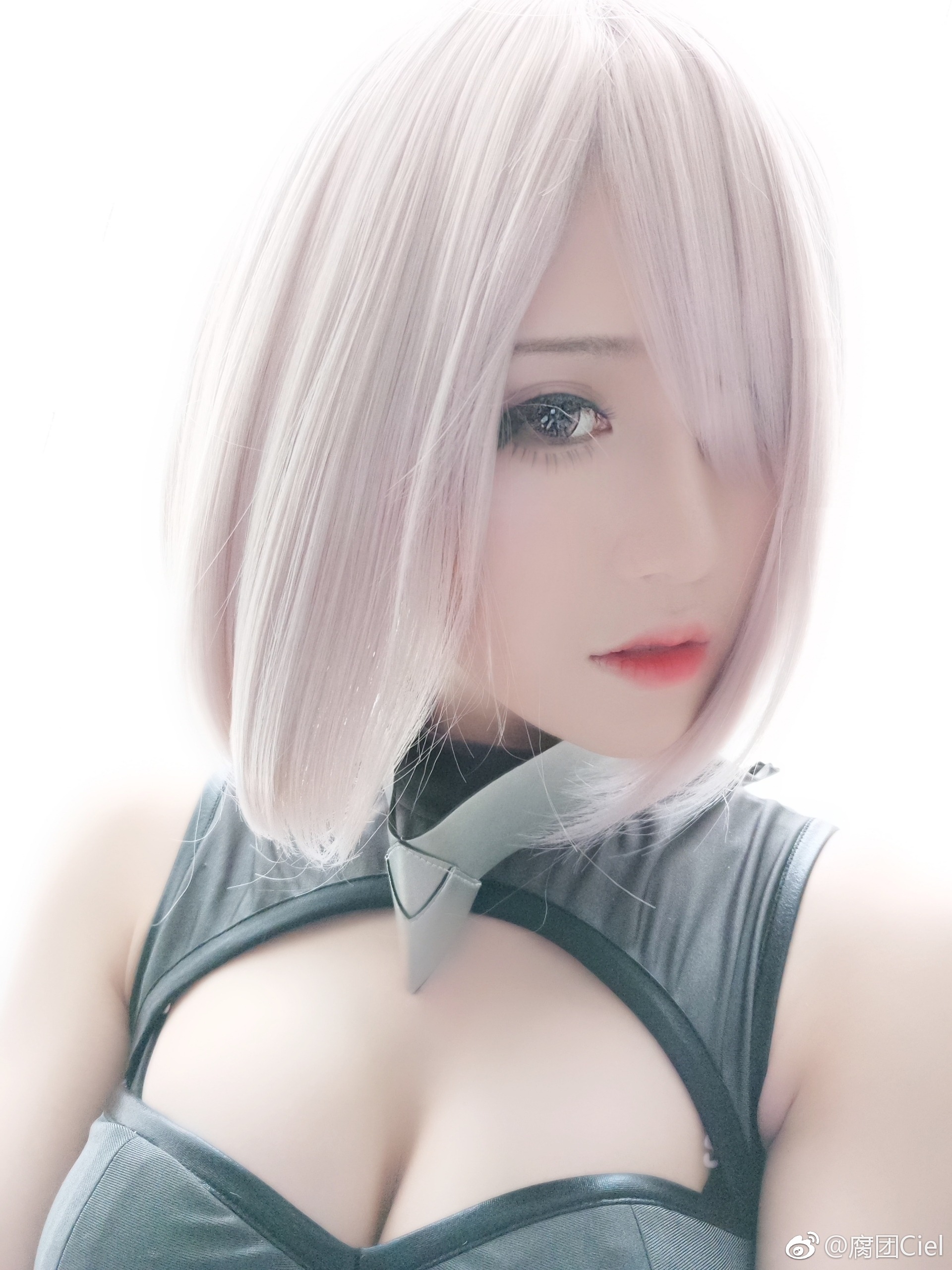 腐团儿 - 玛修[33P] 24