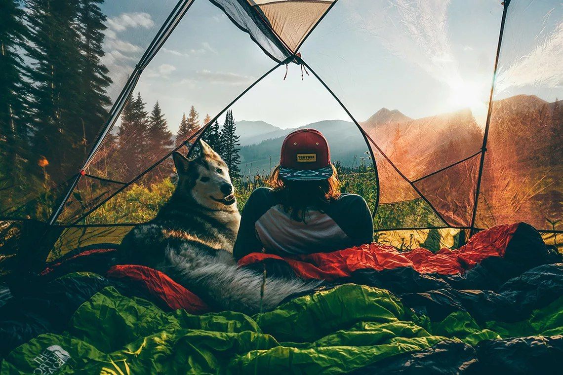 Путешествия подписаться. Палатка на фоне гор. Вид из палатки на горы. Палатка для собак. Вид из палатки на природу.