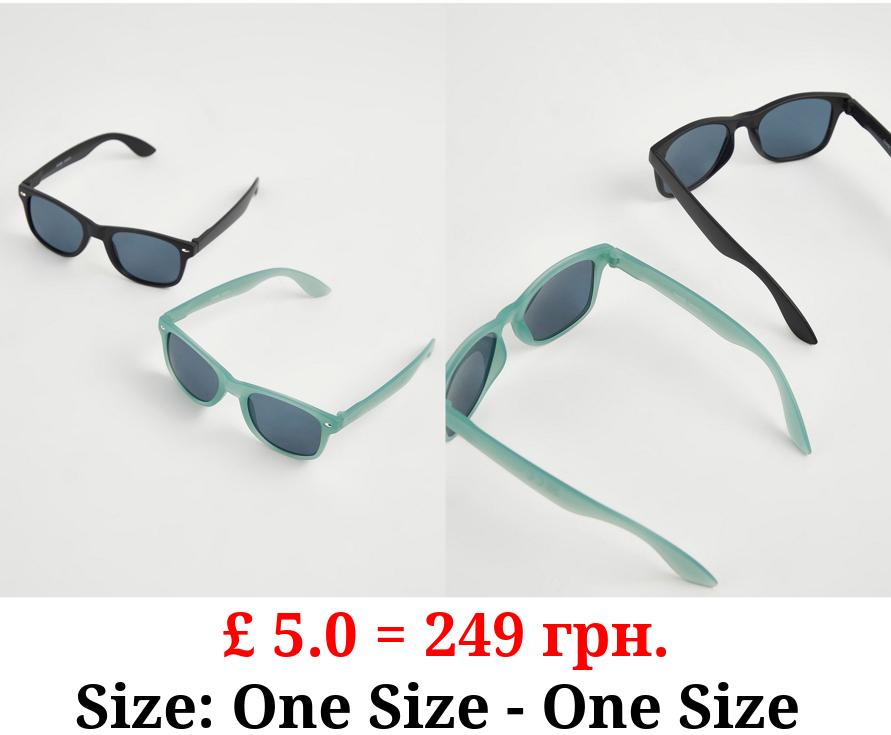 Matte Sunglasses 2 Pack