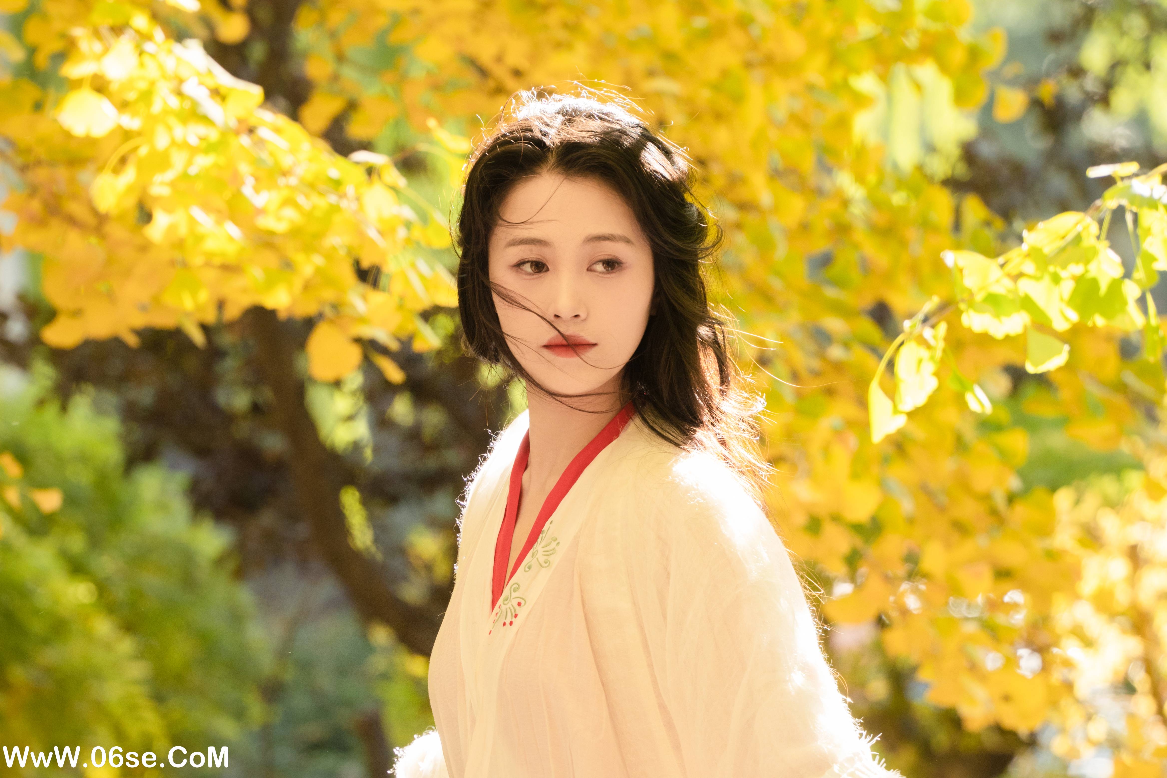 图片[19]-[YITUYU艺图语]2022.11.30 银杏 青霜鹅[25+1P／393MB]-六色网