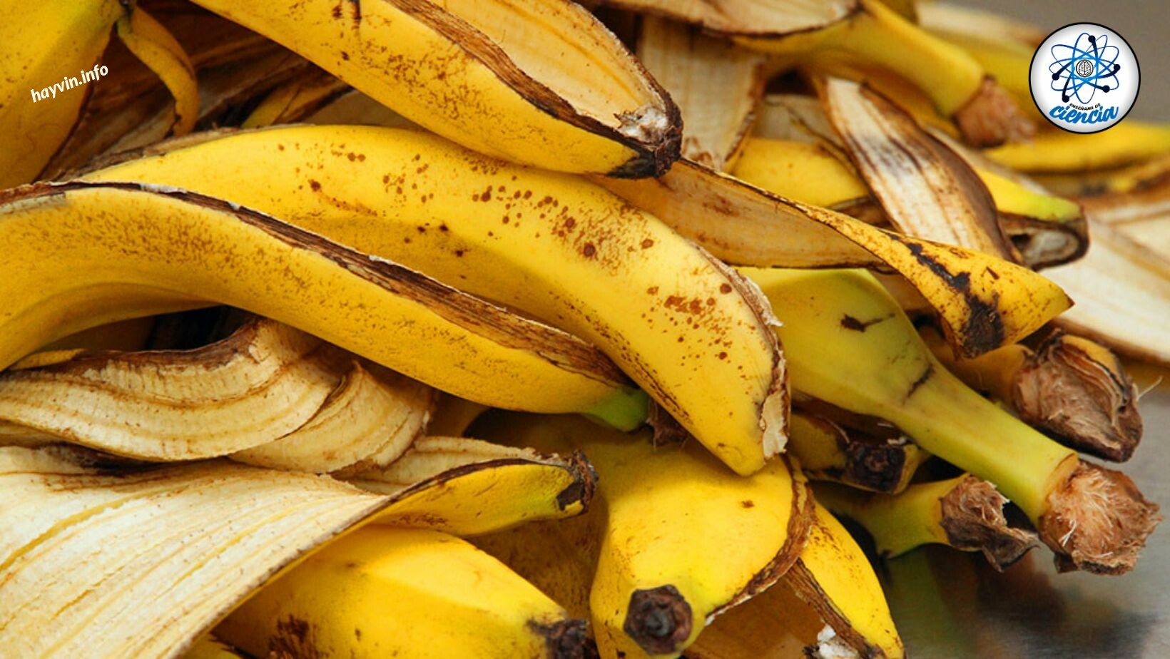Eláruljuk a banánhéj meglepő előnyeit, ha összetevőként használják