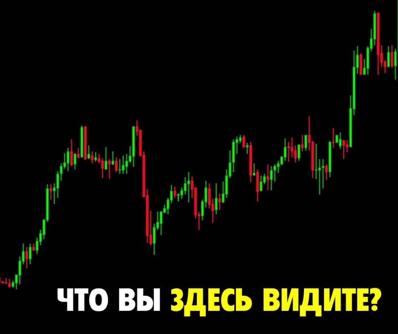 Сигналы для бинарных опционов в телеграмме бесплатные фото 114