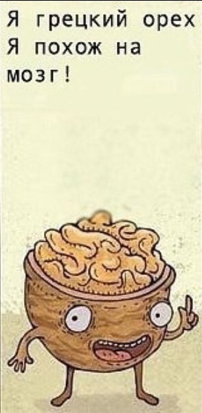 Орех похожий на мозг. Грецкий орех и мозг. Грецкий орех напоминает мозг. Грецкий орех как мозг.
