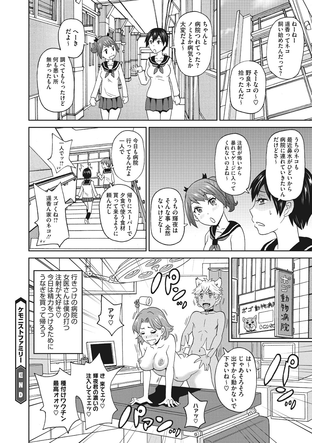 [Image: f313d234ab3d379fcd7f3.jpg]