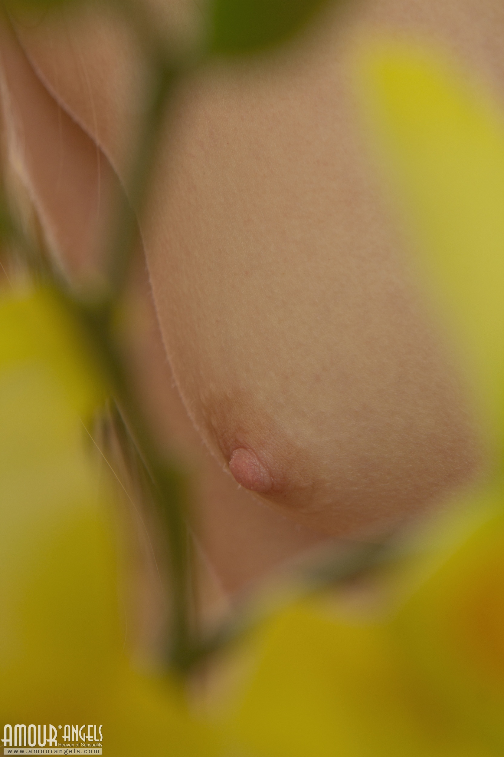 [Image: f33be133beb3fe237226a.jpg]