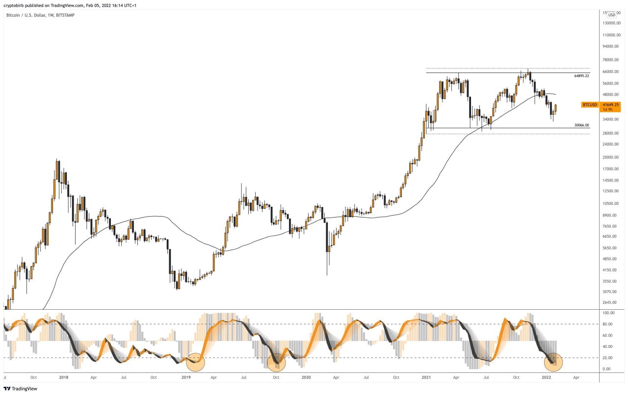 Times btc. Крипто 137.