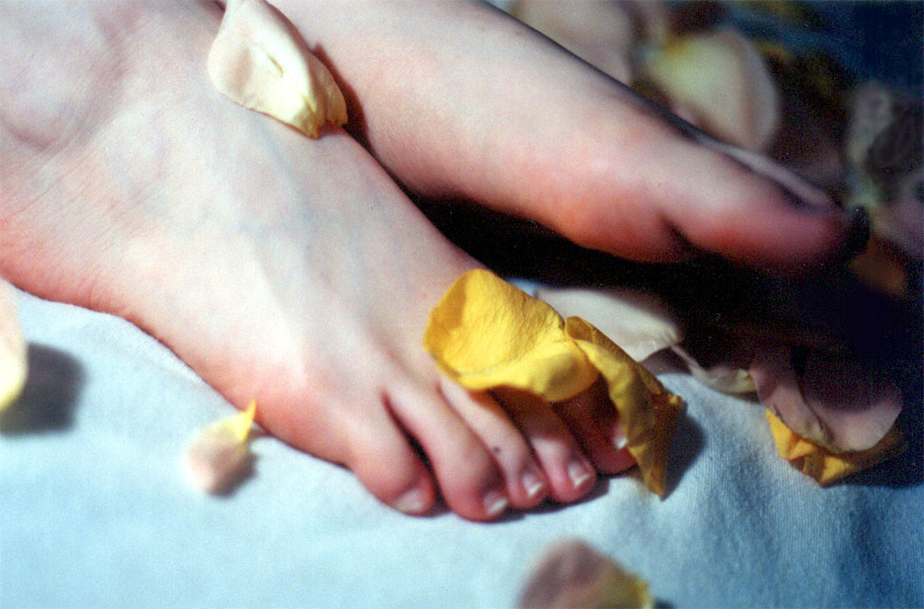 [Image: f3b6516a2ec6e835c8b11.jpg]