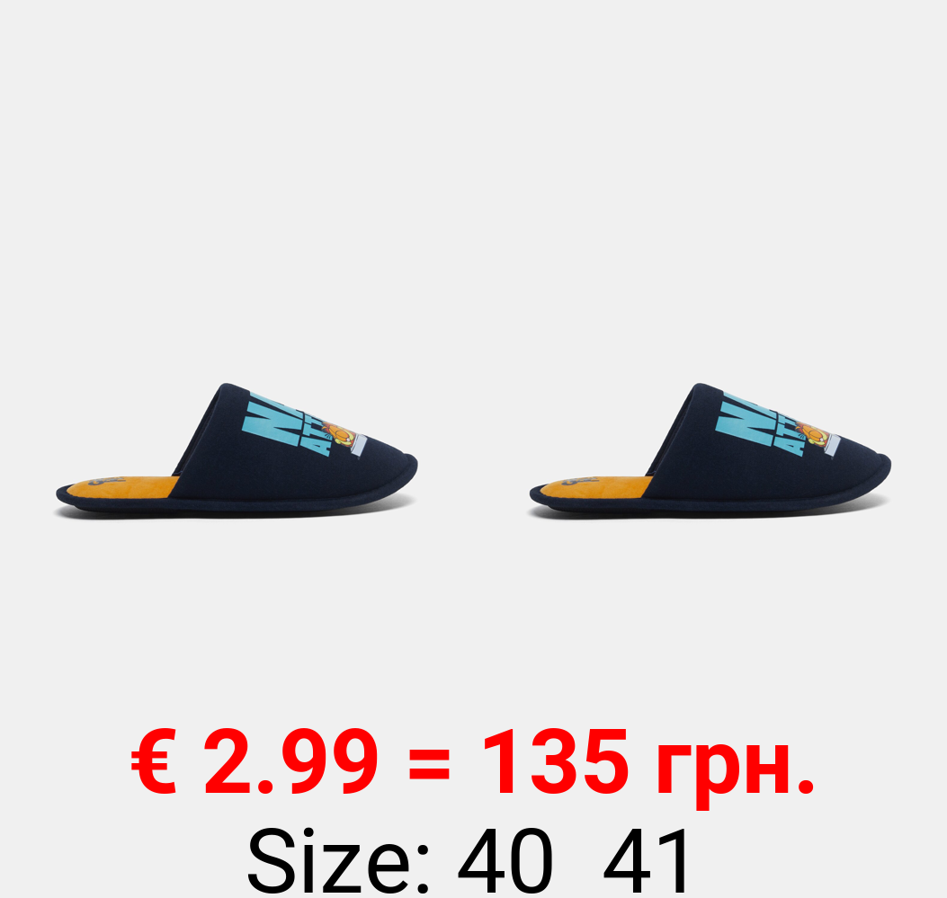 GARFIELD ©NICKELODEON house slippers