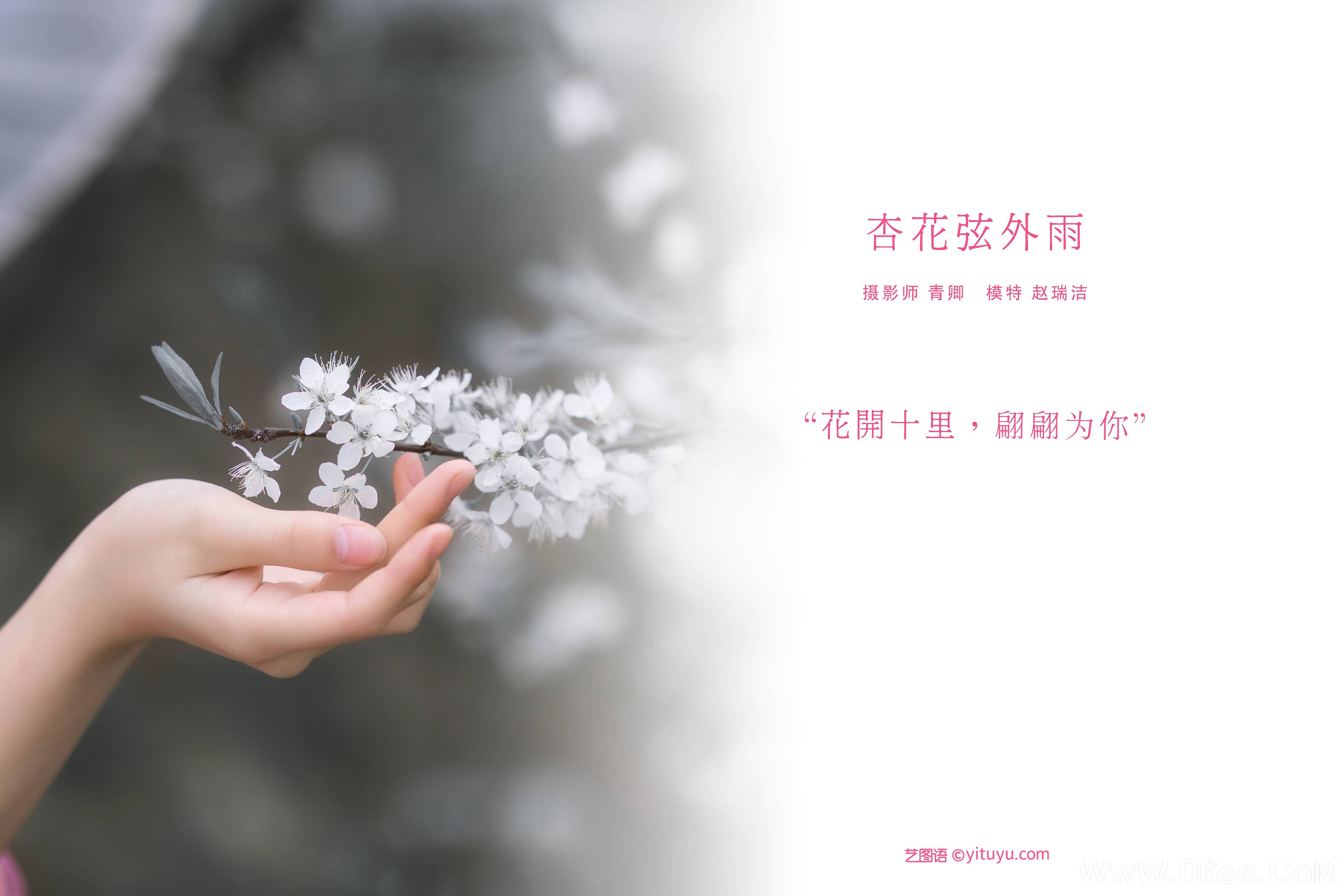 图片[2]-[YITUYU艺图语]2021.08.28 杏花弦外雨 赵瑞洁_ez[22+1P／490MB]-六色网