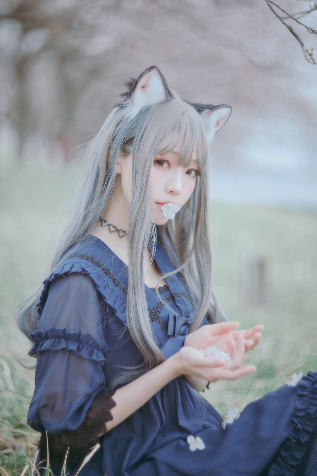 [Ely] Sakura桜 2021 Nekomimi Ver. 14