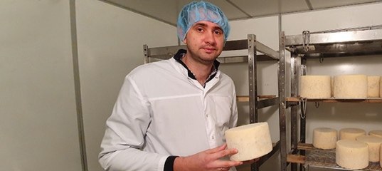 В Подмосковье будут производить сыр «Блю Лакон» из овечьего молока