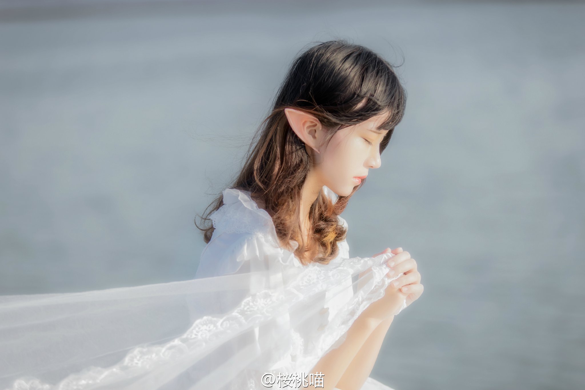 图片[53]-002 迷失幻境系列 – 第002期（洛丽塔） [117P-243.11 MB]-六色网