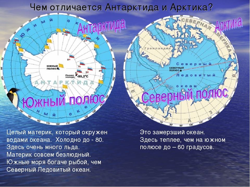 Карта земли северный полюс