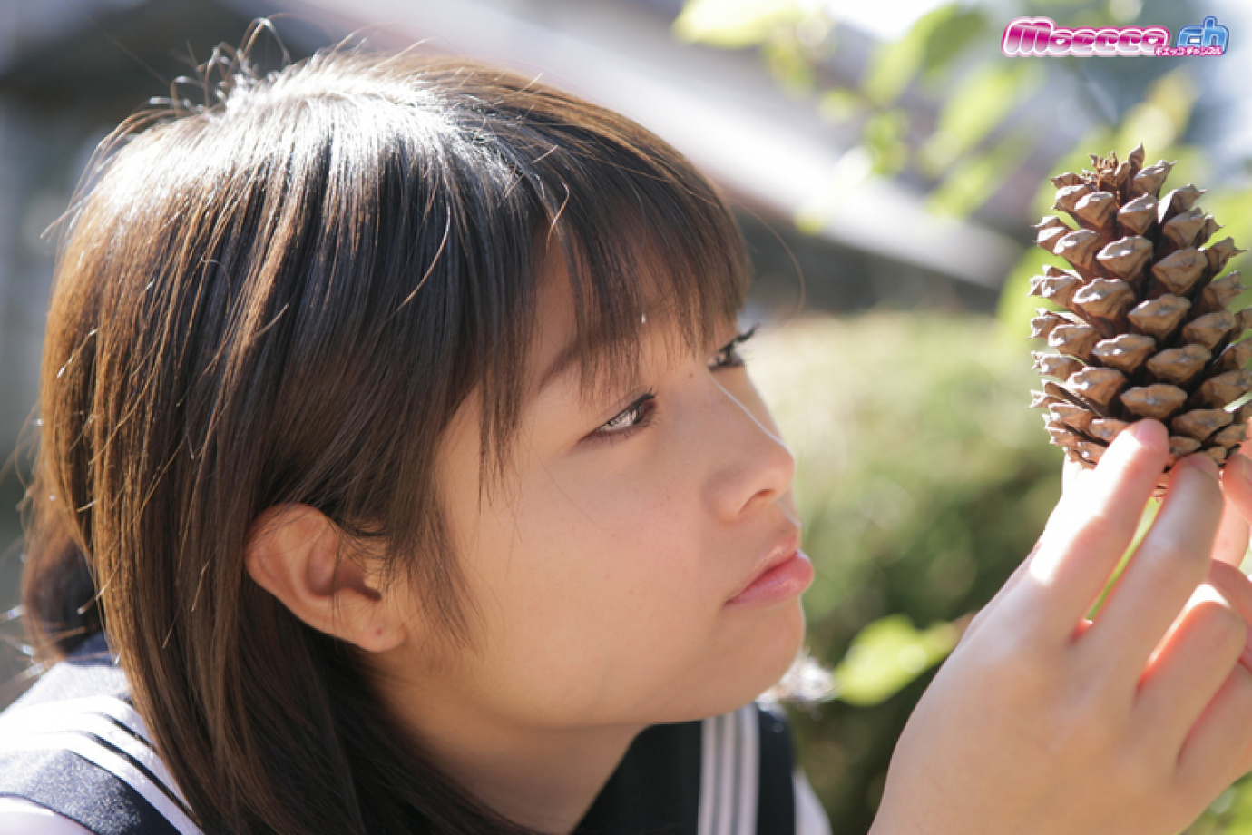 [Image: f56824c2e62fe7efa53d9.jpg]