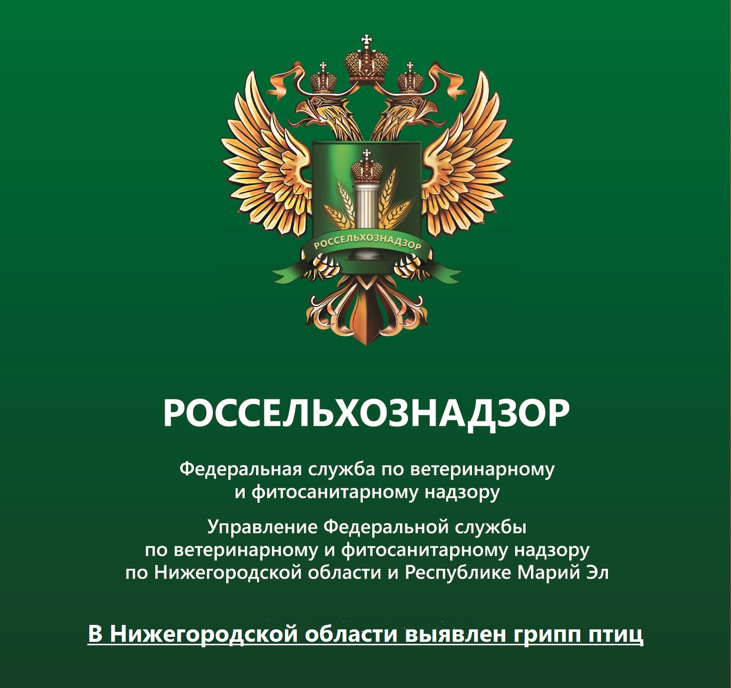 Управление Россельхознадзора по Нижегородской области и Республике Марий Эл  – Telegram