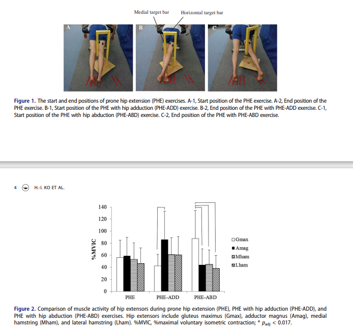РОЛЬ БОЛЬШОЙ ПРИВОДЯЩЕЙ В ПРИСЕДАНИЯХ – Telegraph