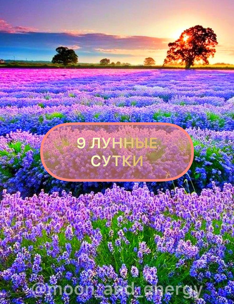 9 июня лунный день. 9 Лунные сутки.