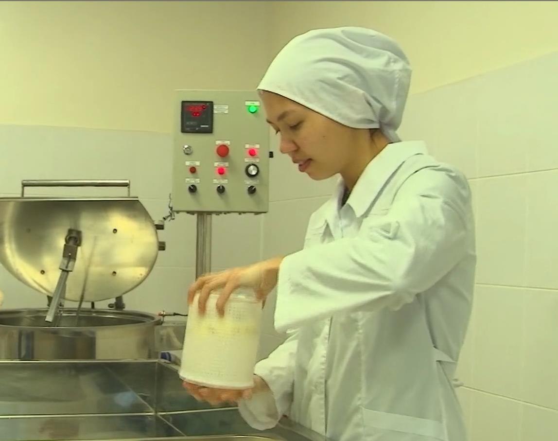 Студентка из Башкирии придумала новый рецепт козьего сыра