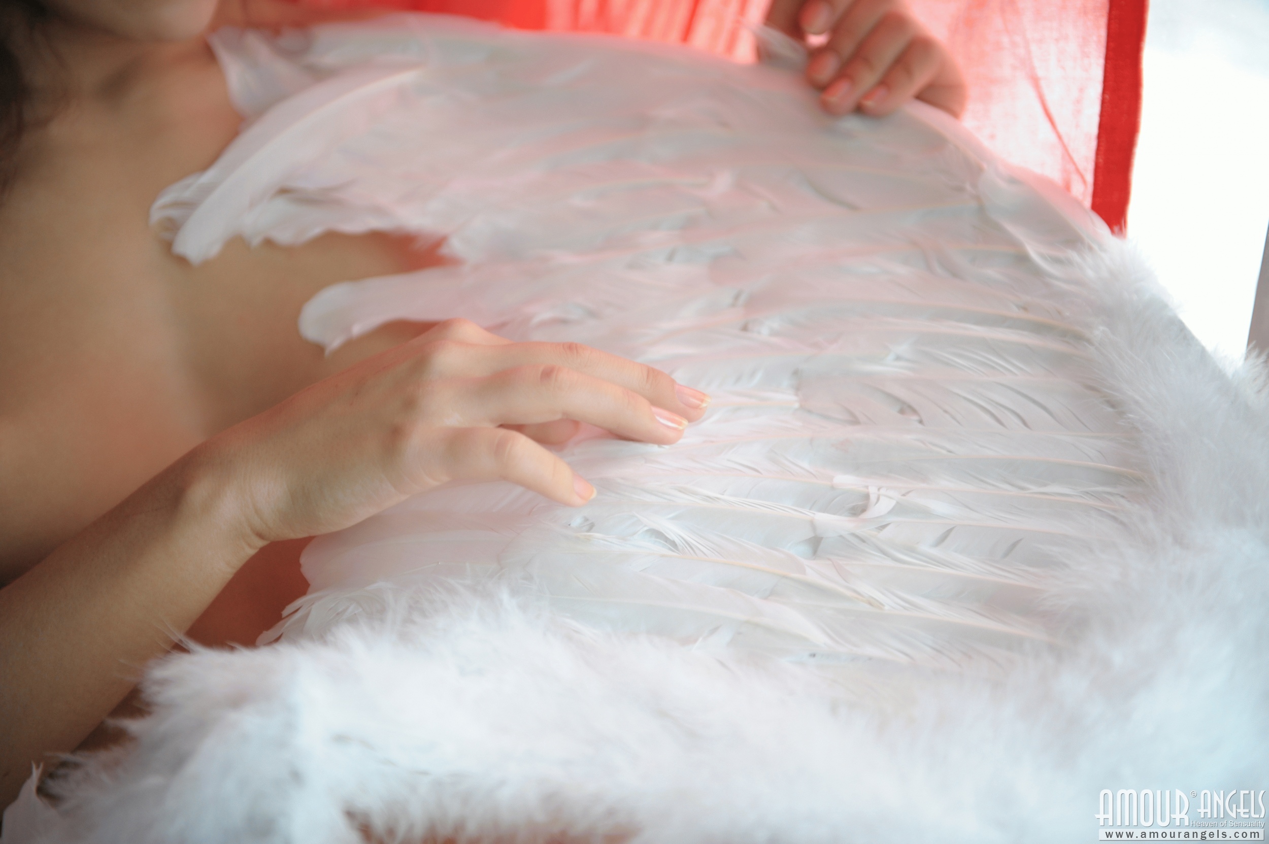 [Image: f608a64e03a4f8ca64c4b.jpg]