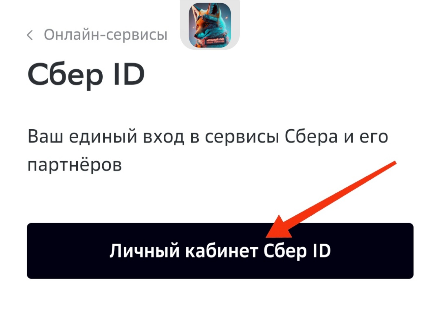 КАК ЗАРЕГИСТРИРОВАТЬ SBER ID — Teletype