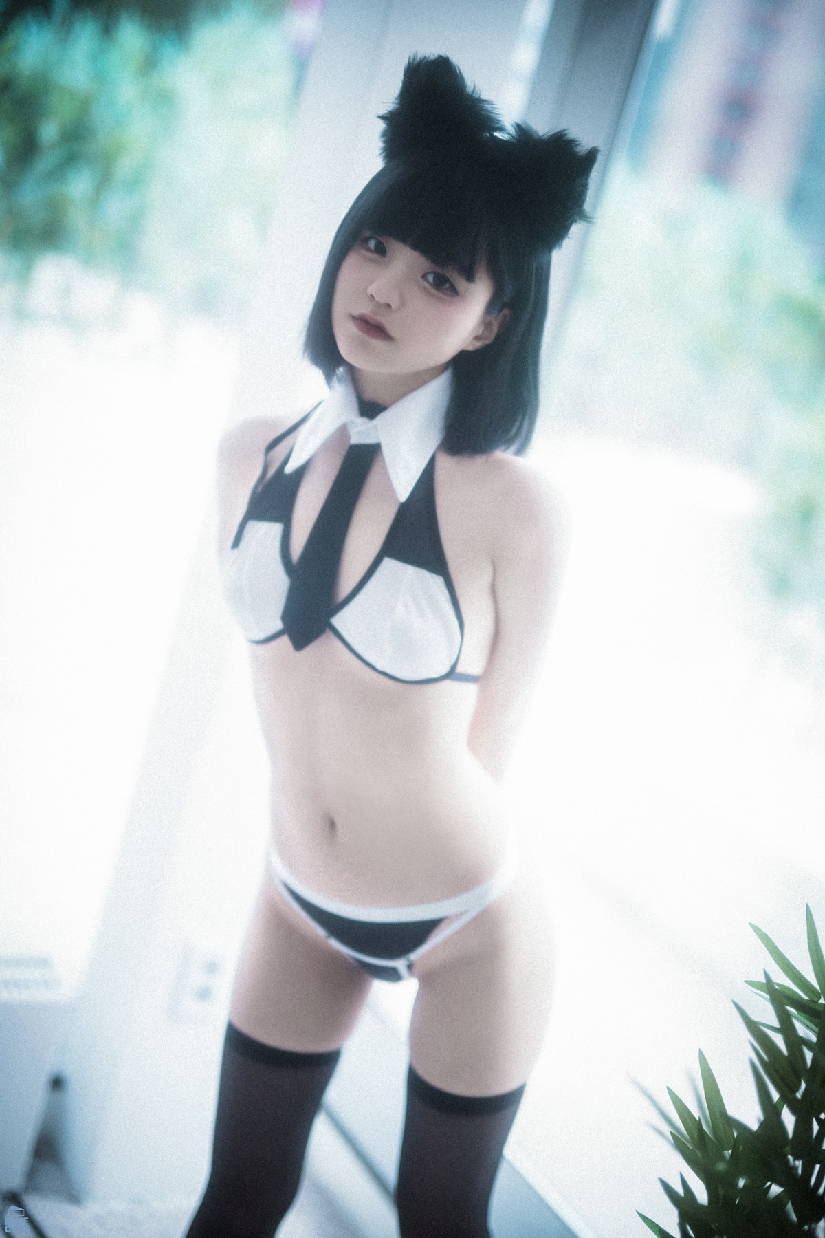 Jeong Jenny 정제니, [BLUECAKE] Meow Set.01 12
