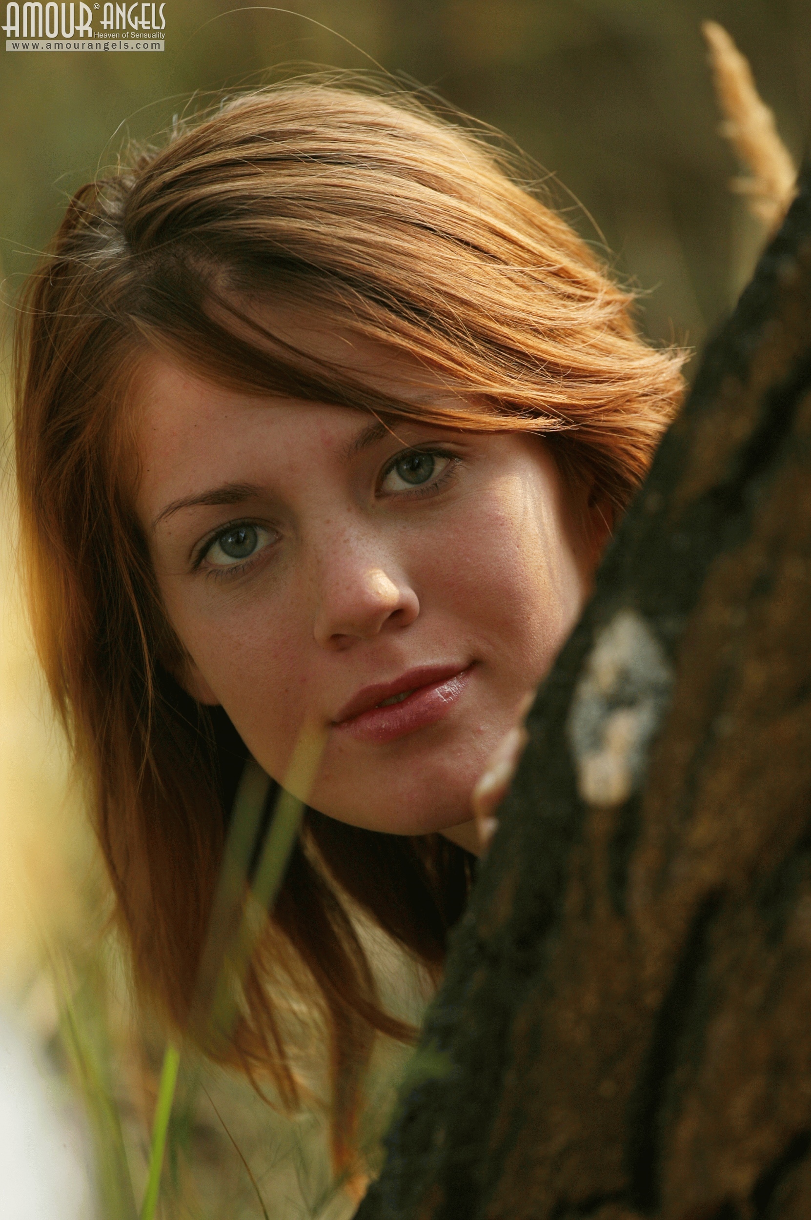 [Image: f7082ed395f6a6e6eeaf0.jpg]