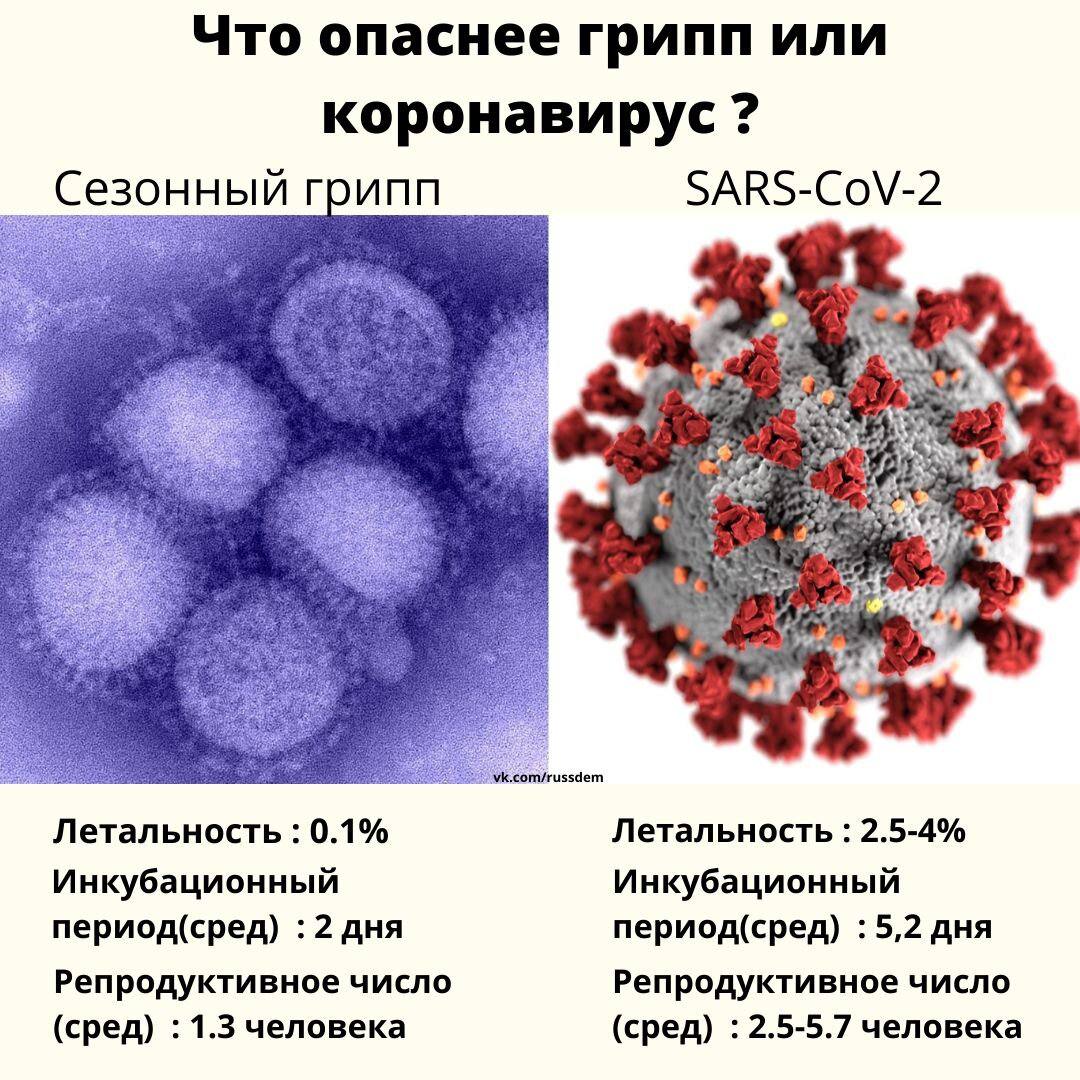Коронавируса это разновидность гриппа??
