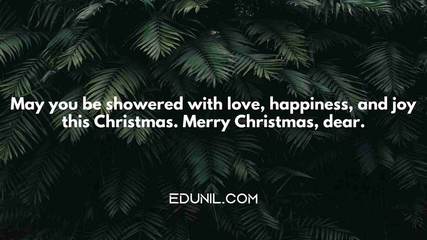 May you be showered with love, happiness, and joy this Christmas. Merry Christmas, dear. - 
