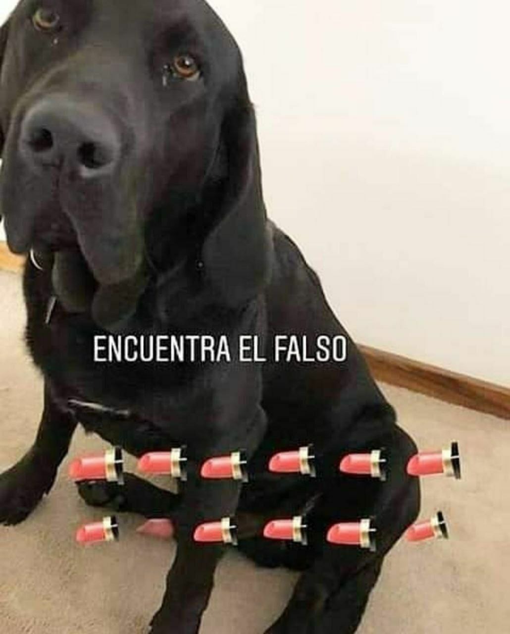 Encuentra el pintalabios falso