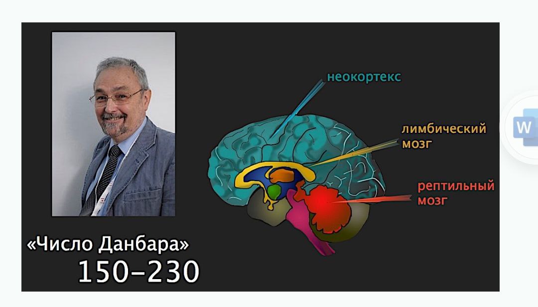 Неокортексе лимбической системе рептильном мозге. Мозг неокортекс. Стресс рептильный мозг. Неокортекс и лимбическая система. Отделы мозга неокортекс.